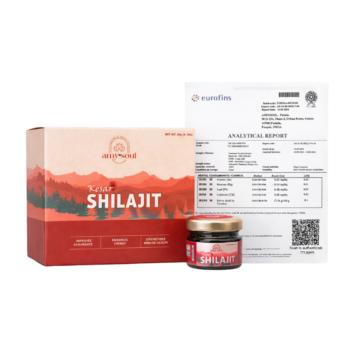 Kesar Shilajit (20g)